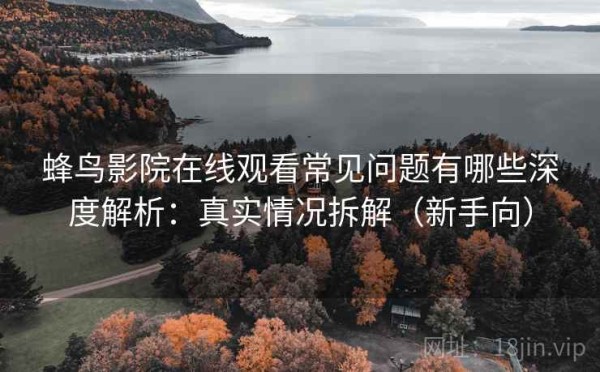 蜂鸟影院在线观看常见问题有哪些深度解析：真实情况拆解（新手向）