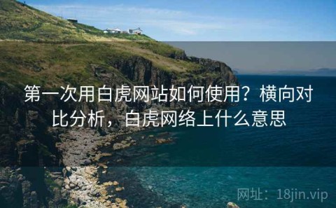 第一次用白虎网站如何使用？横向对比分析，白虎网络上什么意思