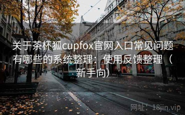 关于茶杯狐cupfox官网入口常见问题有哪些的系统整理：使用反馈整理（新手向）