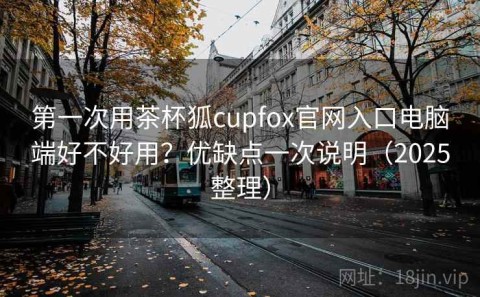 第一次用茶杯狐cupfox官网入口电脑端好不好用？优缺点一次说明（2025整理）