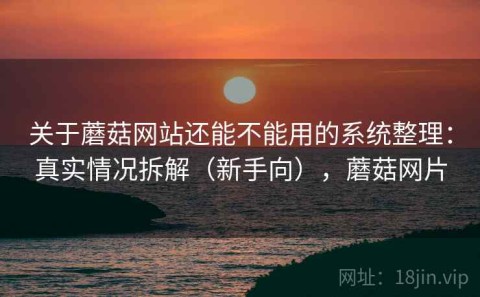 关于蘑菇网站还能不能用的系统整理：真实情况拆解（新手向），蘑菇网片