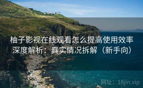 柚子影视在线观看怎么提高使用效率深度解析：真实情况拆解（新手向）