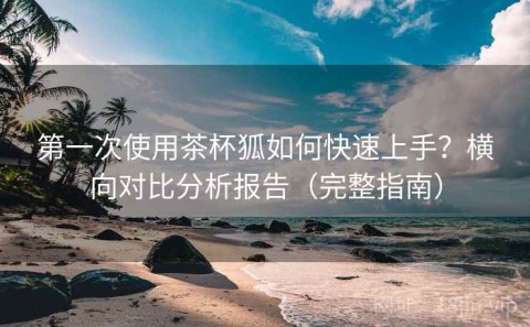 第一次使用茶杯狐如何快速上手？横向对比分析报告（完整指南）