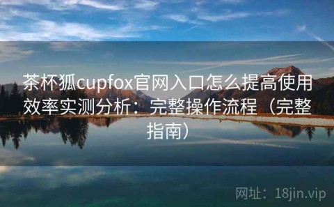 茶杯狐cupfox官网入口怎么提高使用效率实测分析：完整操作流程（完整指南）