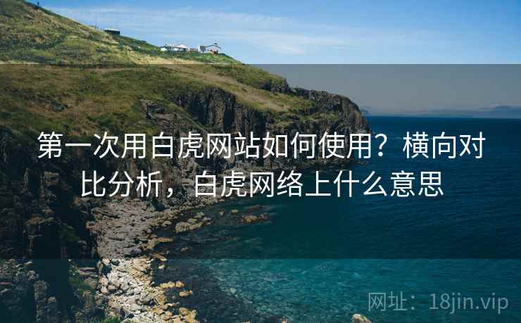 第一次用白虎网站如何使用？横向对比分析，白虎网络上什么意思