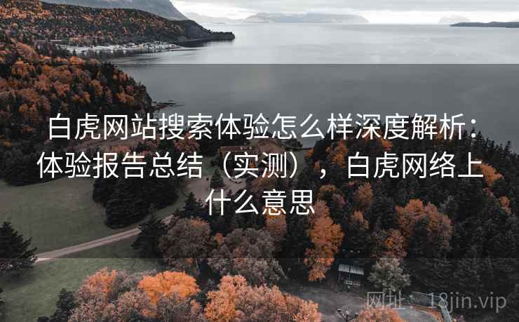 白虎网站搜索体验怎么样深度解析：体验报告总结（实测），白虎网络上什么意思